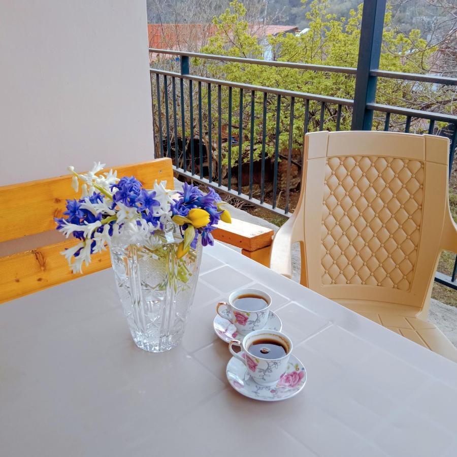Hotel Kizikis Kari Signagi Exteriér fotografie